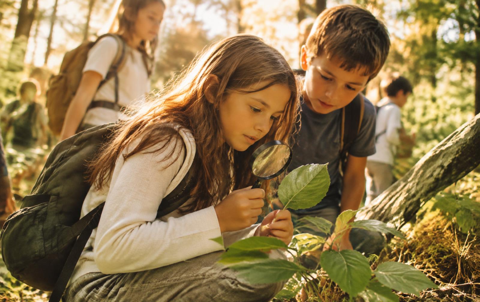 Kids exploring a forest with a magnifying glass